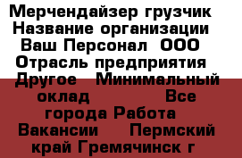 Мерчендайзер-грузчик › Название организации ­ Ваш Персонал, ООО › Отрасль предприятия ­ Другое › Минимальный оклад ­ 40 000 - Все города Работа » Вакансии   . Пермский край,Гремячинск г.